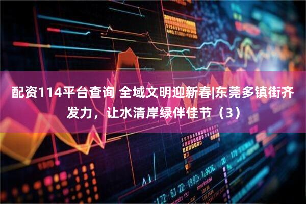配资114平台查询 全域文明迎新春|东莞多镇街齐发力，让水清岸绿伴佳节（3）